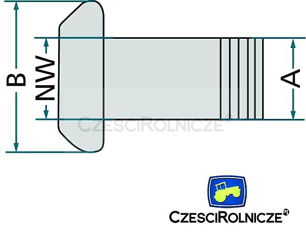 beczkowóz