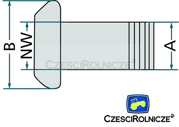 czesci