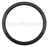 ORING 220,00*22,00   SYSTEM PERROT 6"